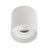 BLACKBURN RO LED 18W Stropní, bodové svítidlo, materiál hliník, povrch bílá, LED 18W, 2030lm, teplá 2700K, vyzař. úhel 38°, UGR<10, Ra80, 230V, IP20, tř.2, rozměry d=100mm, h=100mm náhled 3