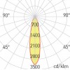 XPIPE Stropní, bodové svítidlo, nastavitelný směr svícení, těleso hliník, povrch bílá, LED 8W, 502lm, teplá 3000K, vyzař. úhel 24°, Ra80, 230V, IP20, tř.2, rozměry d=45mm, h=156mm náhled 7