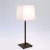 AZUMI Stolní lampa, těleso kov, povrch nikl lesk, pro žárovku 60W, E27, 230V, IP20, tř.2, rozměry 640x210x210mm, vypínač na kabelu, STÍNÍTKO SAMOSTATNĚ náhled 3