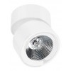 CHATHAM Stropní přisazené bodové svítidlo, nastavitelný směr svícení, materiál hliník, povrch bílá, LED 10W, 850lm, teplá 3000K, 230V, IP20, Ra80, rozměry d=100mm, h=90mm. náhled 1