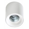 WATERLOO 10W Stropní přisazené bodové svítidlo, materiál hliník, povrch černá, LED 10W, 800lm, neutrální 4000K, 230V, IP20, rozměry d=80mm, h=82mm. náhled 6