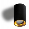 EIGER Stropní přisazené bodové svítidlo, těleso kov, povrch černá a zlatá, pro žárovku 1x50W, GU10, 230V, zvýš. krytí IP54, rozměry d=55mm, h=90mm. náhled 1
