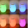 BATUM I 10W, RGBW, DIMM Venkovní přenosná lampa, těleso plast opál, LED 10W, 800lm, teplá 3000K, ovladačem stmívatelná, RGBW, USB nabíjení, IP44, rozměry d=220mm, h=320mm, Bluetooth reproduktor. náhled 2