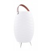 BATUM I 5W, RGBW, DIMM Venkovní přenosná lampa, těleso plast opál, LED 5W, 400lm, teplá 3000K, ovladačem stmívatelná, RGBW, USB nabíjení, IP44, rozměry d=220mm, h=560mm, Bluetooth reproduktor. náhled 1