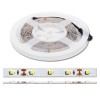 Set LED strip 4,8W/m + adaptér Sada 5m LED pásek 4,8W/m, 300lm/m, neutrální 4100K, 60LED/m děliltelnost 50mm, napájecí adapter 230V/12V náhled 2