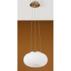 OPTICA VÝPRODEJ Závěsné svítidlo, základna kov, povrch nikl mat, difuzor sklo opál, pro žárovku 2x60W, E27, A60, 230V, IP20, d=280mm, lankový závěs l=1100mm, lze zkrátit náhled 1