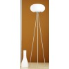 OPTICA VÝPRODEJ Stojací lampa, základna kov, povrch nikl mat, difuzor sklo opál mat, pro žárovku 2x60W, E27, A60, 230V, IP20, d=350mm, h=1570mm, s vypinačem. náhled 1