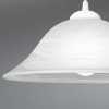 ALBANY Závěsné svítidlo ALBANY, plast bílý, alabastrové sklo, 1x60W E27, A60, 230V, IP20, d=350mm, h=1100mm náhled 2