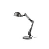 BAOBAB Stolní lampa, kov, barva šedá, pro úspornou žárovku 1x11W, E14, 230V, IP20, 125x490x150mm. náhled 3
