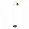 DALDINA 1x40W E14 stojací VÝPRODEJ Stojací lampa, nastavitelná výška, těleso kov, povrch antracit, chromové detaily, pro žárovku 1x40W, E14, 230V, IP20, tř.1, rozměry 420x250x1560mm, vč vypínače náhled 1