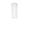 TRITA ROUND 1x35W GU10 Stropní přisazené bodové svítidlo, základna kov, povrch bílá mat, pro žárovku 1x35W, GU10 ES50, 230V, IP20, tř.1. rozměry d=70mm h=110mm náhled 1
