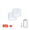 DALMATICA PL 12W, TUYA-Z 2ks Stropní svítidlo, 2ks, kov, zlatá,  dif plast opál, LED 12W, 840lm, smart TUYA, Matter Zigbee 3.0, dálk ovl. (souč.) nebo mob. tel. CCT nast teplá 2700K-denní 6500K, stmív, 230V, d=150mm, h=100mm náhled 3