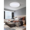 Stropní svítidlo Stropní svítidlo, kávová, difuzor opál, LED 48W, 3360lm, dálk ovl. Beacon (včetně), nebo telefon TUYA WiFi, stmívatelné,  nast CCT  teplá 2700K - denní 6400K, Ra80, 230V, IP20, d=510mm, h=70mm náhled 10
