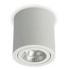 TOKA Stropní, přisazené, bodové svítidlo, výklopné +-20°, základna hliník, povrch bílá, LED 6W, 650lm, teplá 3000K, Ra80, 230V, IP20, tř.2, rozměry d=90mm, h=95mm náhled 2