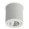 ROLL Stropní, přisazené, bodové svítidlo, výklopné +-20°, základna hliník, povrch bílá, LED 6W, 650lm, teplá 3000K, Ra80, 230V, IP20, tř.2, rozměry d=90mm, h=95mm náhled 1