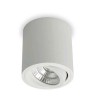 ROLL Stropní, přisazené, bodové svítidlo, výklopné +-20°, základna hliník, povrch bílá, LED 6W, 650lm, teplá 3000K, Ra80, 230V, IP20, tř.2, rozměry d=90mm, h=95mm náhled 2