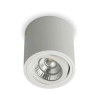 ROLL Stropní, přisazené, bodové svítidlo, výklopné +-20°, základna hliník, povrch bílá, LED 6W, 650lm, teplá 3000K, Ra80, 230V, IP20, tř.2, rozměry d=90mm, h=95mm náhled 3