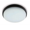 HORLIA Stropní, přisazené, venkovní svítidlo, těleso hliník, povrch černá antracit, difuzor PMMA opál, LED 25W, 2000lm, teplá 3000K, Ra80, 230V, IP54, tř.2, rozměry d=240mm, h=45mm náhled 2