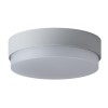 TRITON 2 LED-1L15C07/IN-184 IP65 29W senzor HF DAL Stropní, průmyslové svítidlo, senzor HF, záběr 150°, dosah 8m, čas 10s-10min,zákl PC bílá, dif PC opál, LED 29W, 4050lm, neutrál 4000K, stmív DALI,230V, zvýš krytí IP65, IK10, tř.2, d=360mm,  náhled 4