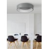 CIRCULAR C LED VÝPRODEJ Stropní svítidlo, základna kov, povrch šedostříbrná, difuzor plast opál, LED 42W, teplá 3000K, 2730lm, Ra80, stmív RF dálk ovladač (dodáván samostatně), 230V, IP20, rozměry d=600m náhled 10