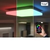 NODU SQ 24W, CCT, RGB, IP54 Stropní venkovní svítidlo, plast, bílá, difuzor plast opál, LED 24W, 2350lm, ovl smart telefon Tuya, WiFi, stmívání, nast teplota CCT teplá 3000K - denní 6000K, Ra80, RGB, 230V, IP54, 280x280x51mm náhled 3