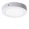 LOIS LED 24W CHR VÝPRODEJ Stropní přisazené svítidlo, kruhové, základna kov, povrch chrom, difuzor plast opál, LED 24W, 1700lm, teplá 3000K, 230V, IP20, tř.1. rozměry d=300mm. náhled 2