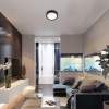 DRANCUN 24W, CCT, RGB Stropní svítidlo, základna kov, povrch hnědá, difuzor plast opál, LED 24W, přepín. Teplota CCT teplá 3000K, neutrální 4000K, denní 6000K, 2000lm, stmív, RGB, 230V, IP20, tř.1, d=410mm, h=100mm. náhled 4