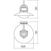 ELIO Nástěnné venkovní svítidlo, těleso kov, povrch černá antracit, difuzor sklo opál, pro žárovku 1x42W, E27, 230V, IP44, tř.1, rozměry d=320mm, h=290mm. náhled 2