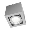 BERIT I Stropní přisazené svítidlo bodové, výklopné +-30°, materiál hliník, povrch šedostříbrná, pro žárovku 1x50W, GU10 ES50, 230V, IP20, rozměry 93x88x88mm. náhled 1