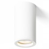 MOMA Stropní přisazené svítidlo, těleso kov, povrch lak bílá, pro žárovku 1x35W, GU10, 230V, IP20, tř.2. rozměry d=62mm h=114mm náhled 1