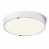 HUE R22 LED Stropní přisazené svítidlo, základna kov, rámeček dřevo buk světlý, difuzor plast opál, LED 1x22W, teplá 3000K, 2160lm, Ra80, 230V, IP20, tř.2. rozměry d=228mm h=34mm náhled 5