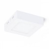 GARONIE čtverec stropní VÝPRODEJ Stropní, přisazené, čtvercové svítidlo, těleso hliník, povrch bílá, difuzor plast opál, LED 6W, 360lm, teplá 3000K, Ra80, 230V, IP20, tř.1, rozměry 118x118x35mm náhled 2