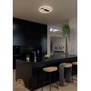 ZARKA 36W Stropní svítidlo, těleso kov, povrch černá a zlatá mat, difuzor plast opál + SMD LED diody, LED 36W, 3922lm, teplá 3000K, Ra80, 230V, IP20, tř.2, rozměry d=500mm, h=78mm. náhled 3
