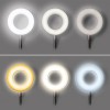 KOLA TL 8W CCT Stolní lampa, nastav. směr svícení, husí krk, těleso kov, povrch černá, dif plast opál, LED 8W, 300lm, CCT nastav teplota 3000K-5000K, stmív., USB napájení, IP20, 630x110x90mm, vč. klipu. náhled 2
