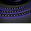 UV LED pásek 395-405nm, 4,8W/m Světelný zdroj, LED pásek s UV - ultrafialovým světlem 395-405nm, 60LED/m, 4,8W/m, 12V, dělitelnost 50mm, w=8mm, l=5m, cena za 1m náhled 2