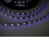 UV LED pásek 395-405nm, 14,4W/m Světelný zdroj, LED pásek s UV - ultrafialovým světlem 395-405nm, 60LED/m, 14,4W/m, 12V, dělitelnost 50mm, w=10mm, l=5m, cena za 1m náhled 1