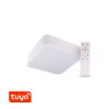 HOLSK SQ 24W, TUYA Stropní svítidlo, kruhové, těleso kov, povrch černá, dif plast opál, LED 24W, dálk ovl, nebo smart telefon Tuya, WiFi, stmív, nast teplota CCT teplá 3000K - denní 6000K, Ra80, IP20, 300x300x80mm. náhled 2