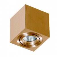 ELZA 1X50W,GU10 Stropní, přisazené, bodové svítidlo, těleso hliník, povrch. úprava dle typu, výklopný světelný zdroj +-60°, pro žárovku 1x50W, GU10, 230V, IP20,rozměry: 80x80x85mm
