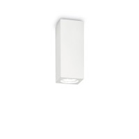 TRITA SQUARE 1X35W GU10 Stropní přisazené bodové svítidlo, základna kov, povrch bílá, pro žárovku 1x35W, GU10 ES50, 230V, IP20, tř.1. rozměry dle typu