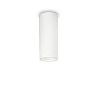 TOWER Stropní přisazené bodové svítidlo, základna kov, povrch bílá, pro žárovku 1x35W, GU10, 230V, IP20, tř.1. rozměry dle typu