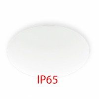 PIONTER E27 1X30W/1X46W IP65 Přisazené, venkovní svítidlo, základna kov, povrch bílá, difuzor plast opál, pro žárovku 1x30W/1x46W, E27, 230V, IP65, tř.2, rozměry dle typu