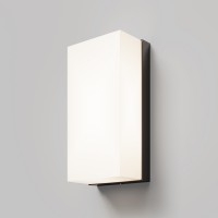 UDEX  WL 10W, IP54 Nástěnné venkovní svítidlo, těleso kov, povrch černá grafit, difuzor plast opál, LED 10W, 700lm, teplá 3000K, Ra80, 230V, IP54, tř.1, rozměry 100x200x70mm.