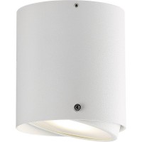 IP S4 Stropní svítidlo, nastavitelný sklon svícení +-20°, těleso kov bílá, nebo broušená ocel, difuzor plast, pro LED 1X8W, GU10 ES50, 230V, do koupelny IP44, tř.2, rozměry d=100mm, h=110mm