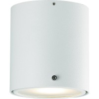 IP S4 Stropní svítidlo, nastavitelný sklon svícení +-20°, těleso kov bílá, nebo broušená ocel, difuzor plast, pro LED 1X8W, GU10 ES50, 230V, do koupelny IP44, tř.2, rozměry d=100mm, h=110mm