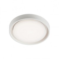 BAZEL-PL-LED Stropní venkovní svítidlo kruhové, základna hliník, difuzor plast opál, LED 1x30W, teplá 3000K, 2550lm, 230V, IP54, tř.1. rozměry 340x340x50mm