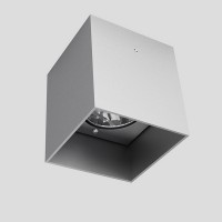 CUBO RED Stropní svítidlo bodové, těleso hliník, povrch šedostříbrná, pro žárovku 1x50W, GU10 ES50, 230V, IP20, 90x80x80mm.