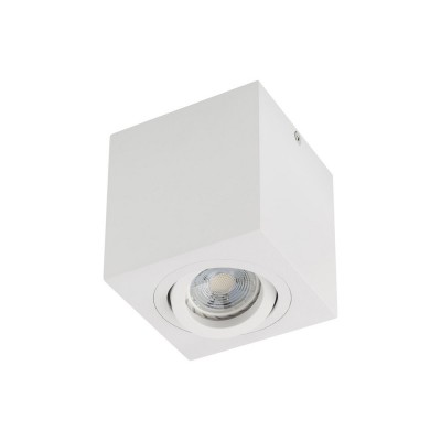 XBRIX Stropní, přisazené, bodové svítidlo, výklopné +-15°, materiál hliník, povrch bílá, pro žárovku 1x50W, GU10, ES50, 230V, IP20, tř.1, rozměry 90x95x90mm