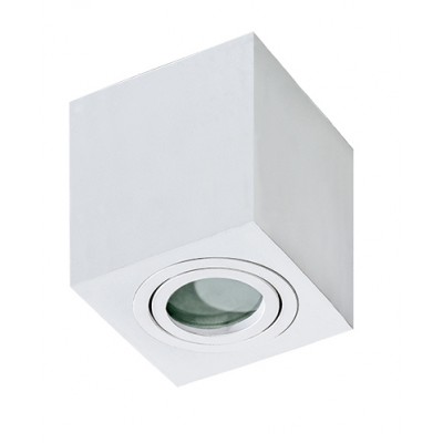 DONCASTER SQ Stropní, přisazené, bodové svítidlo, nastavitelný směr svícení, těleso kov a hliník, povrch bílá, pro žárovku 1x50W, GU10, 230V, IP20, rozměry: 90x90mm, h=95mm.