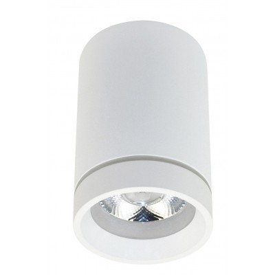 BILL, LED 10W Stropní přisazené svítidlo, materiál hliník, povrch bílá, LED 10W, 850lm, neutrální 4000K, vyzař. úhel 60°, 230V, IP20, rozměry d=65mm, h=100mm.