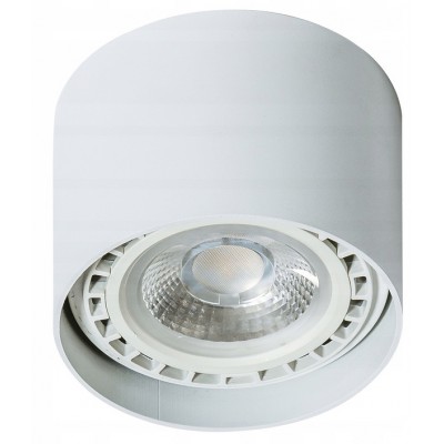 ECO ALIX NEW Stropní, přisazené, bodové svítidlo, těleso hliník, povrch bílá, pro žárovku 1x35W, ES111, 230V, IP20, rozměry: d=120mm, h=80mm.